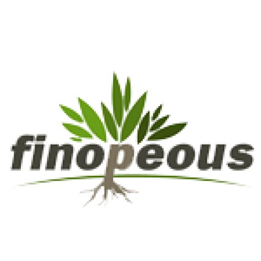 FINOPEOUS PACKAGING INDUSTRIES SDN BHD